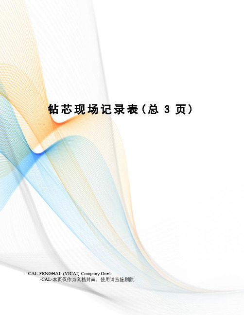 钻芯现场记录表