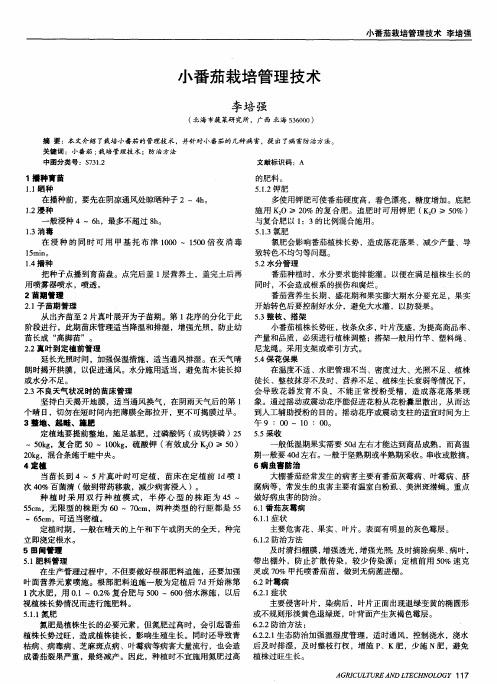 小番茄栽培管理技术