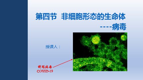 非细胞形态的生命体