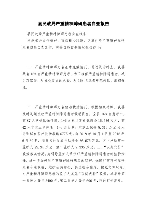 县民政局严重精神障碍患者自查报告