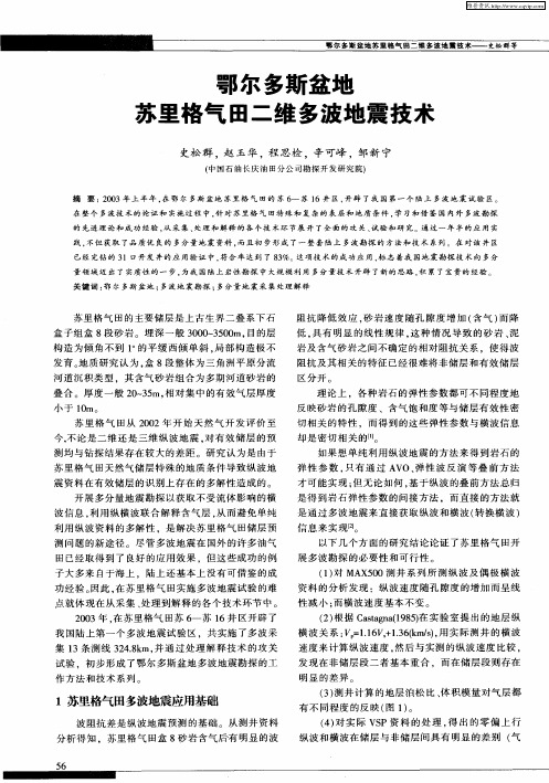 鄂尔多斯盆地苏里格气田二维多波地震技术