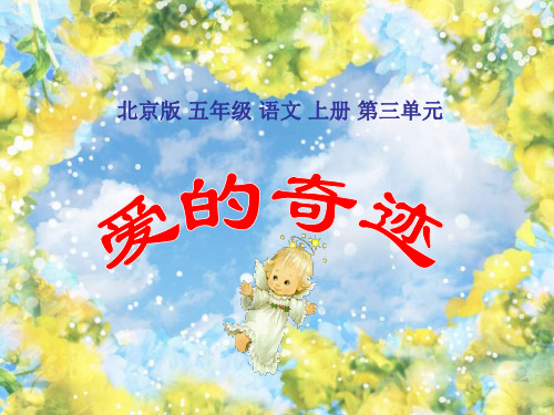 五年级语文爱的奇迹1