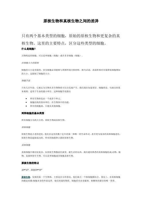 原核和真核细胞