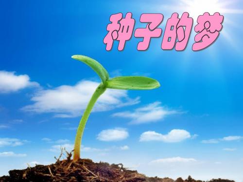 《种子的梦》