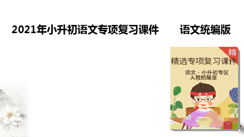 2021年小升初语文专项复习一基础知识6 修改病句课件(共27张PPT)
