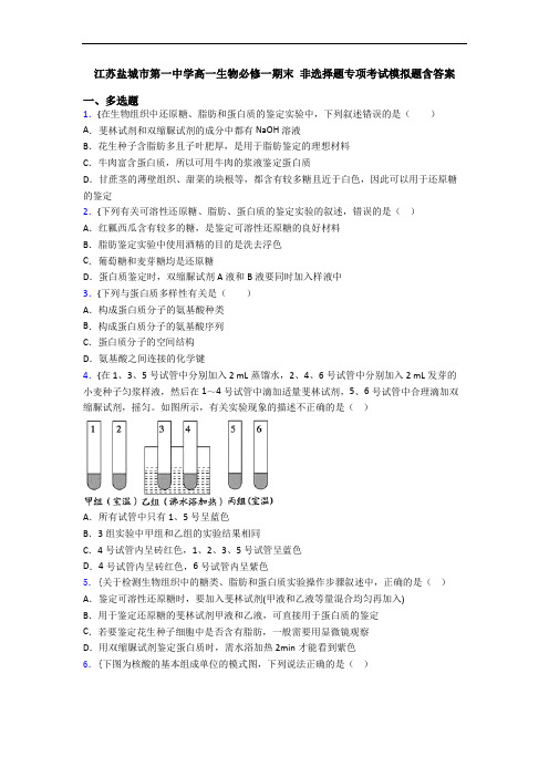 江苏盐城市第一中学高一生物必修一期末 非选择题专项考试模拟题含答案