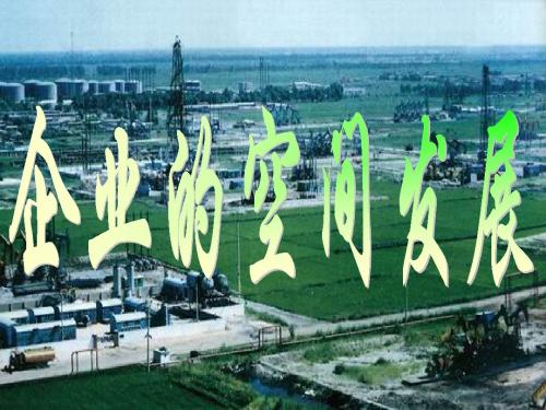 高一地理企业的空间发展(中学课件2019)