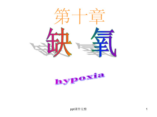 病理 缺氧ppt课件