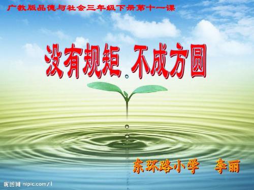 没有规矩不成方圆最新