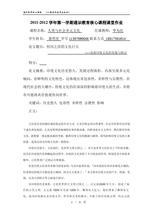 印度文化论文