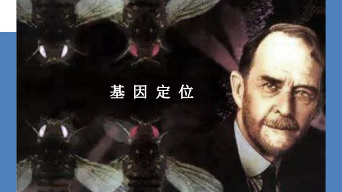 2020年高考生物复习专题《基因定位》