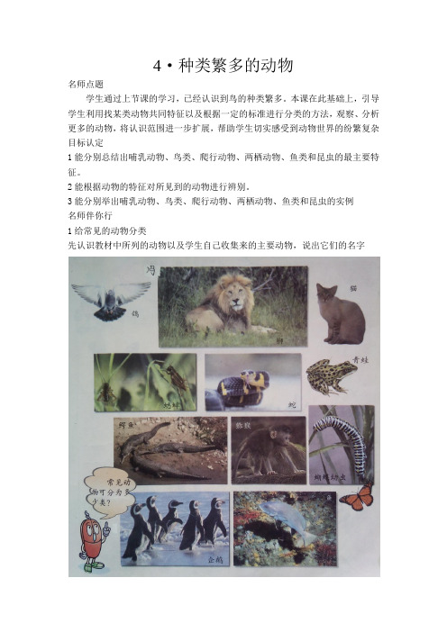 (冀人版)小学科学教与学·六年级上 (4)种类繁多的动物