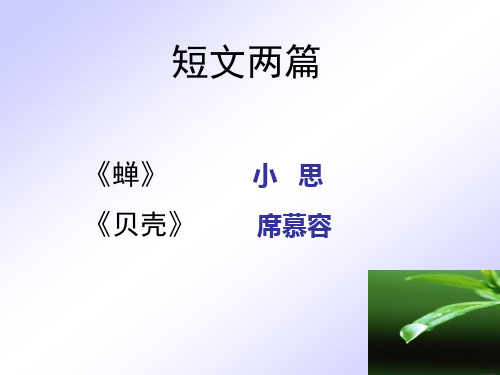 《蝉》《贝壳》“以小见大”的写作手法