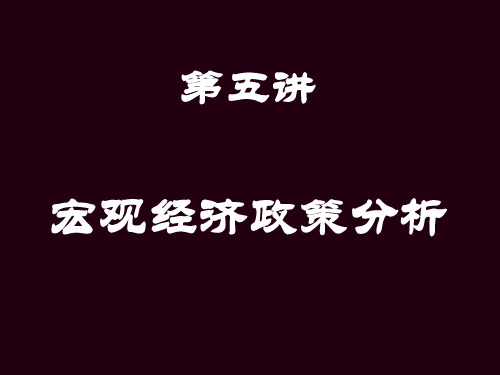 第五讲宏观经济政策分析.pptx