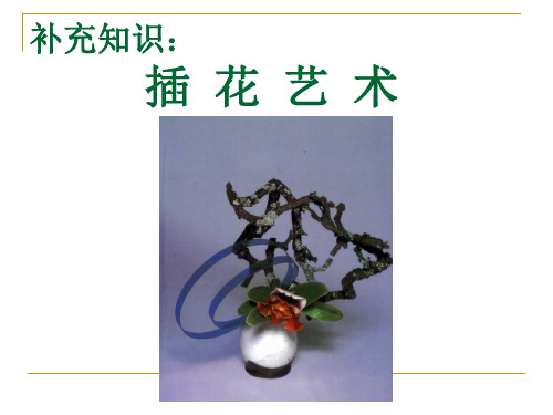 插花艺术概述