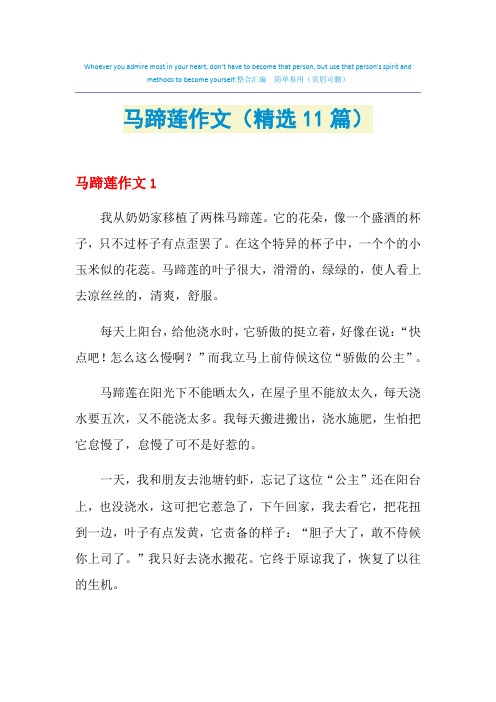 马蹄莲作文(精选11篇)
