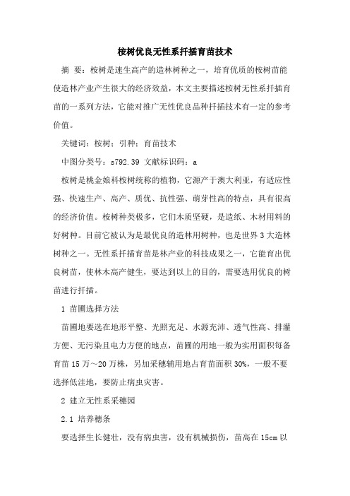 桉树优良无性系扦插育苗技术