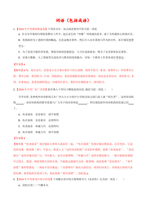 中考词语包括成语真题语文试题汇编解析版