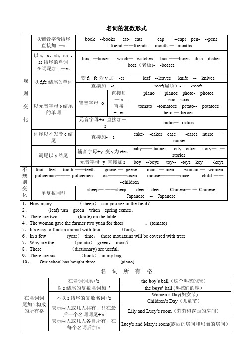 名词的复数形式及所有格