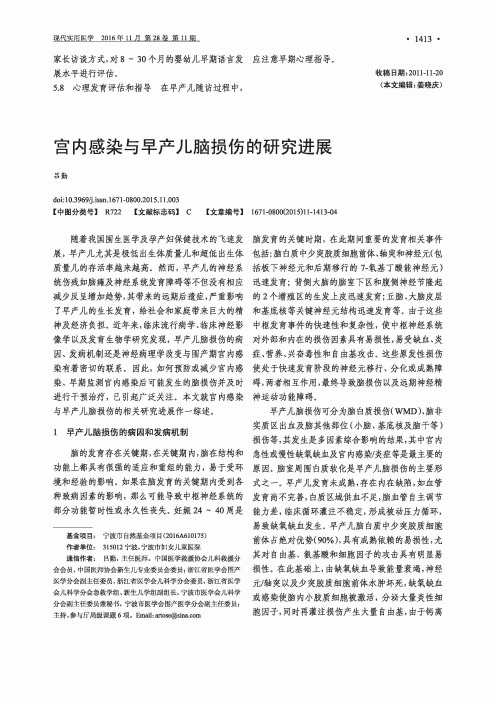 宫内感染与早产儿脑损伤的研究进展