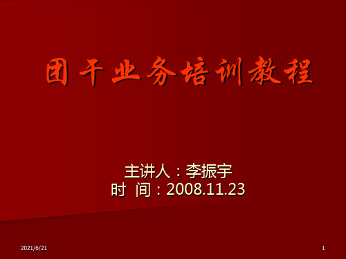 团干部培训.PPT