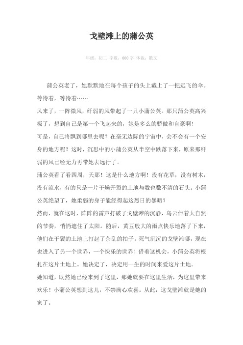 戈壁滩上的蒲公英600字作文