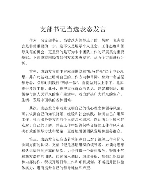 支部书记当选表态发言