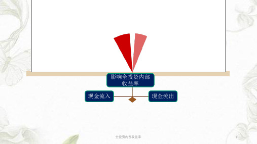 全投资内部收益率ppt课件