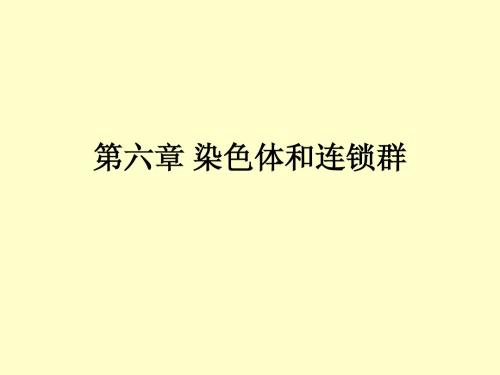 第六章 染色体和连锁群
