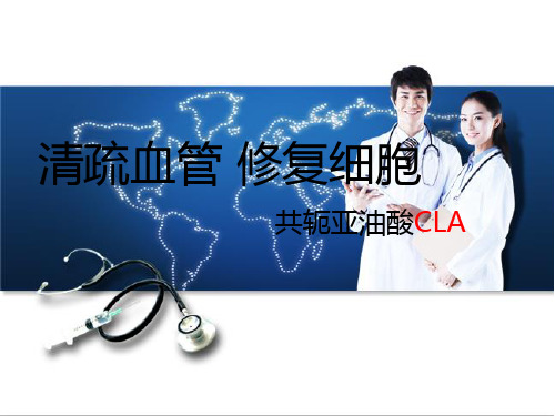 共轭亚油酸讲师讲解范例