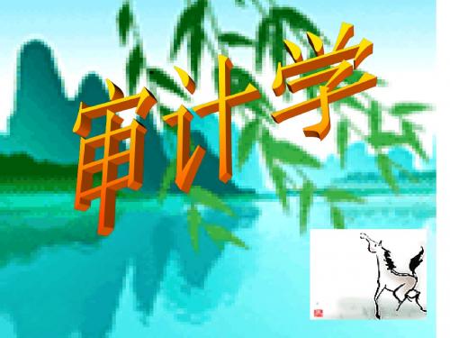 第一章 审计概论