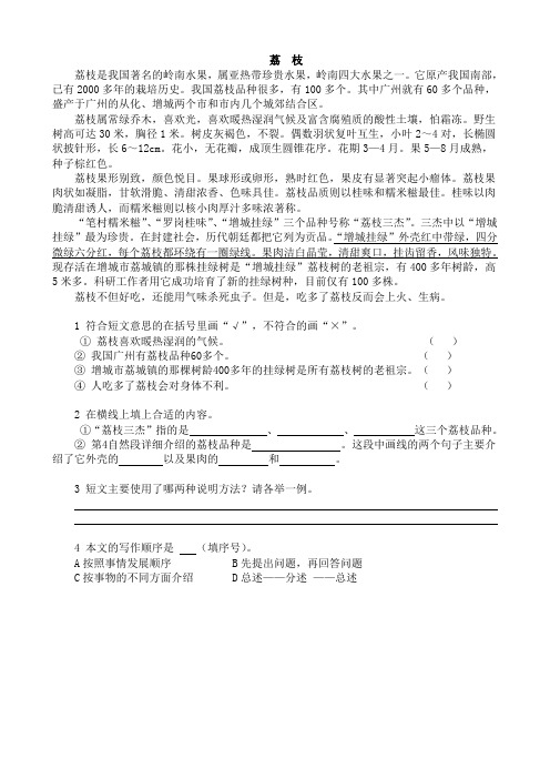 荔枝