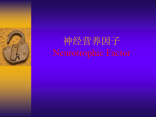 神经营养因子