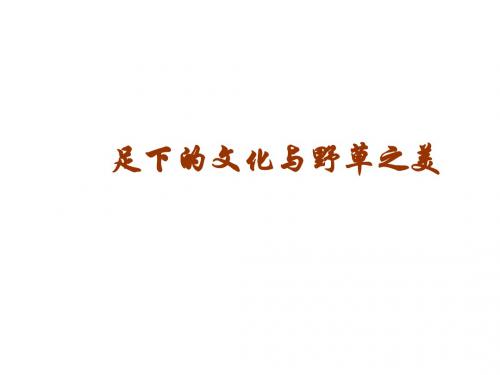 高三语文足下的文化与野草之美