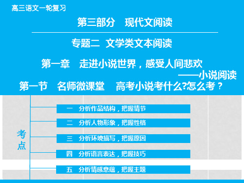 高考语文大一轮复习 专题3.2.1.1 高考小说考什么,怎么