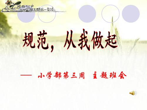 规范主题班会-从我做起 ppt