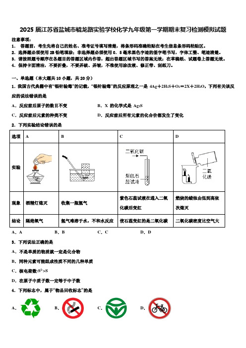 2025届江苏省盐城市毓龙路实验学校化学九年级第一学期期末复习检测模拟试题含解析