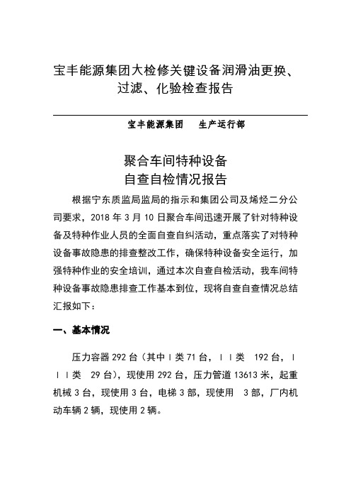 特种设备自检自查报告