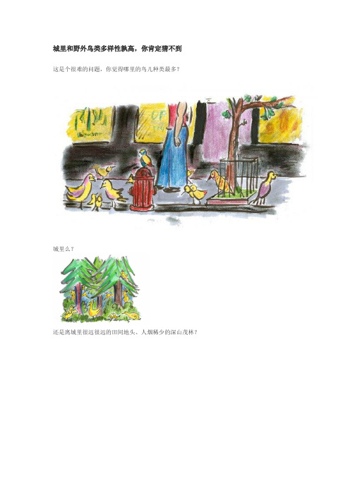 城里和野外鸟类多样性孰高