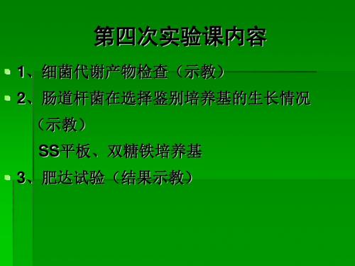 肠道细菌实验