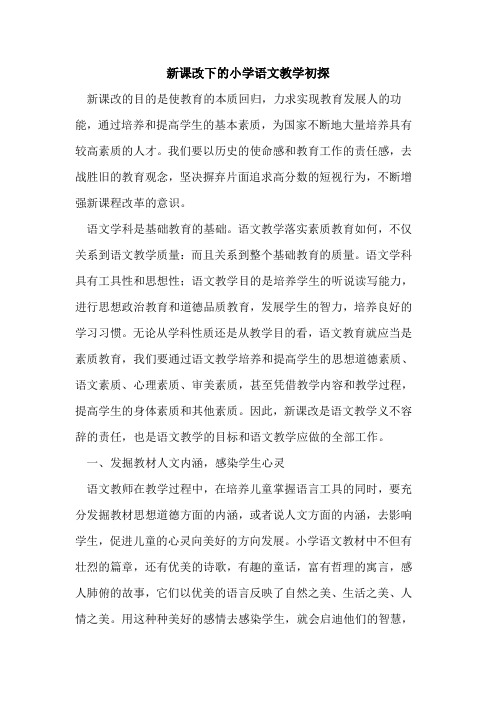 新课改下小学语文教学初探