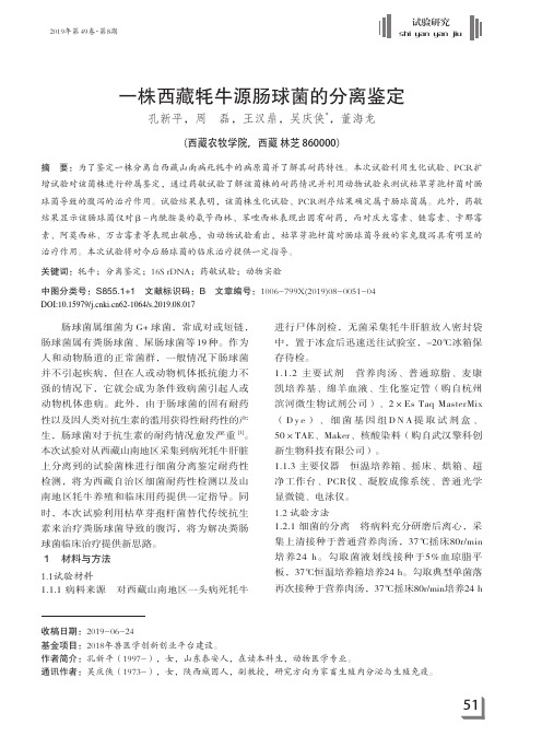一株西藏牦牛源肠球菌的分离鉴定