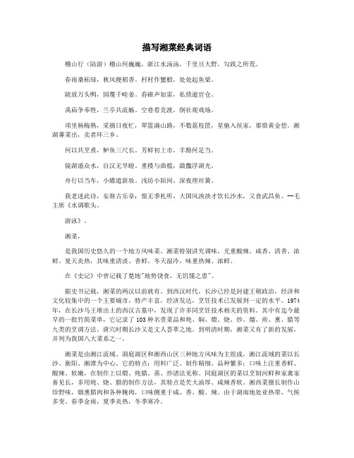 描写湘菜经典词语
