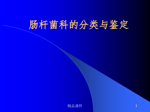 肠杆菌科的分类与鉴定精选ppt