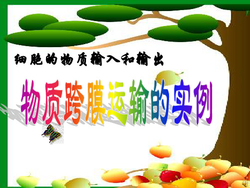 人教版高中生物必修一课件 第四章第一节：物质跨膜运输的实例(共33张PPT)