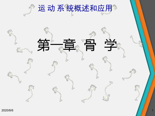 运动系统概述和应用第一章骨学