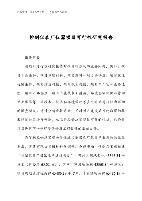 控制仪表厂仪器项目可行性研究报告