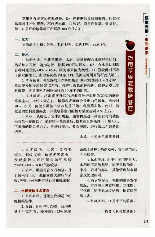 巧用苹果渣栽培蘑菇