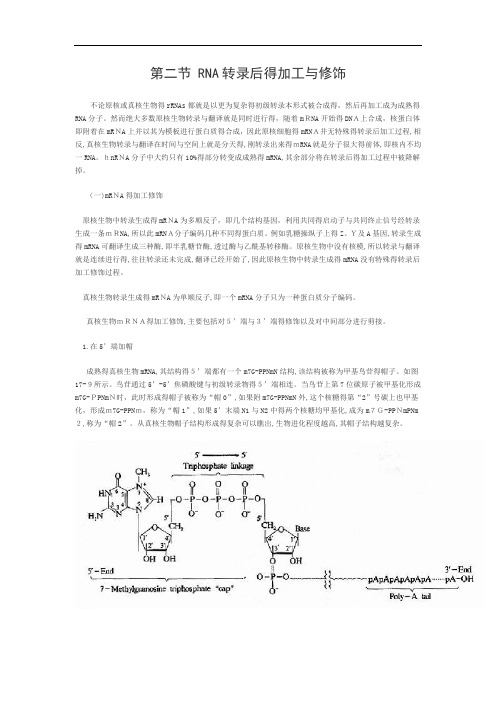 RNA转录后的加工与修饰