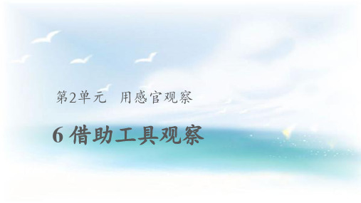 苏教版小学科学一年级上册6《借助工具观察》教学课件